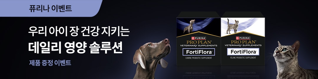포티플로라 증정 이벤트