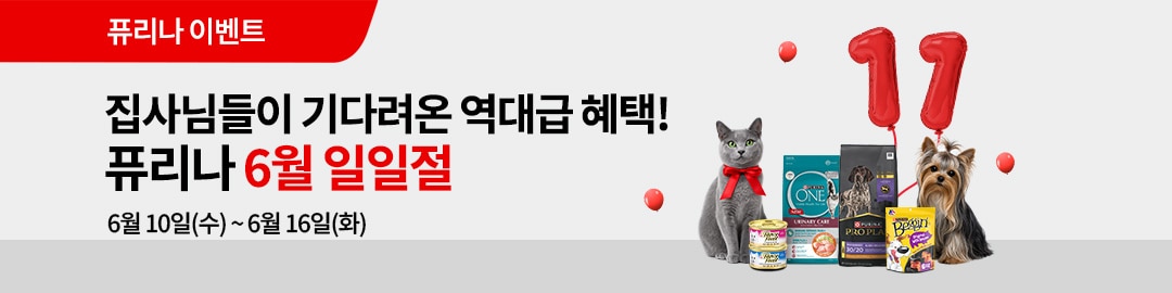 6월 일일절