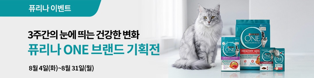 ONE 브랜드 기획전